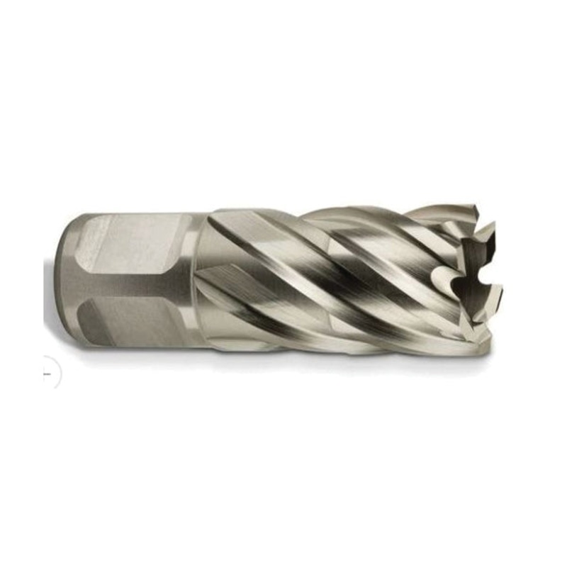 FEIN 6 31 34 191 04 1 Annular Cutter, 3/4 in Dia Cutter, 1 in D Cutting