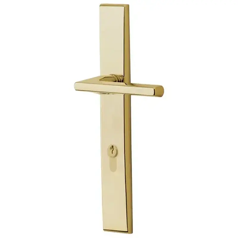 Baldwin MP013031FD4 Lakeshore Multi Point Trim Full Dummy Configuration 4 Unlacquered Brass Finish