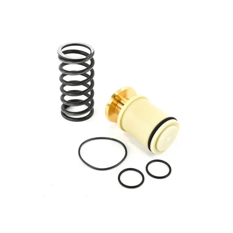 BOGE Minimum Pressure Check Valve Kit - 2230337671P