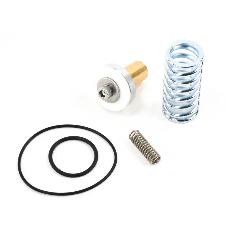 ELGi Minimum Pressure Check Valve Kit Replacement - A990293