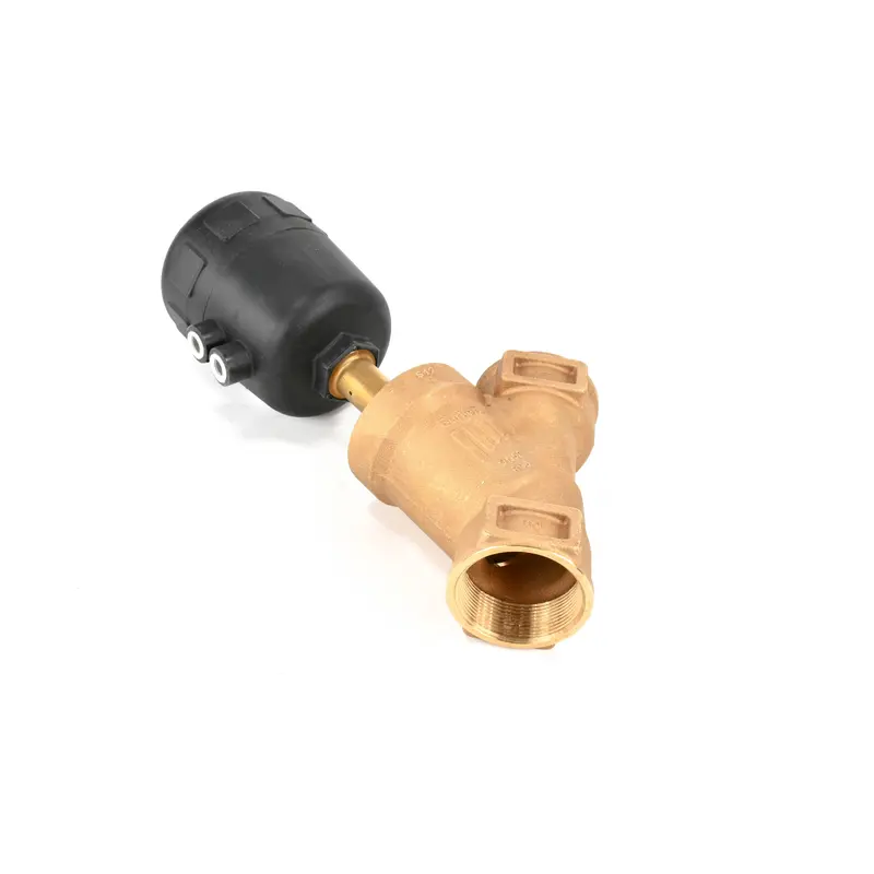 Hankison Inlet Valve Assembly Replacement - 3151877