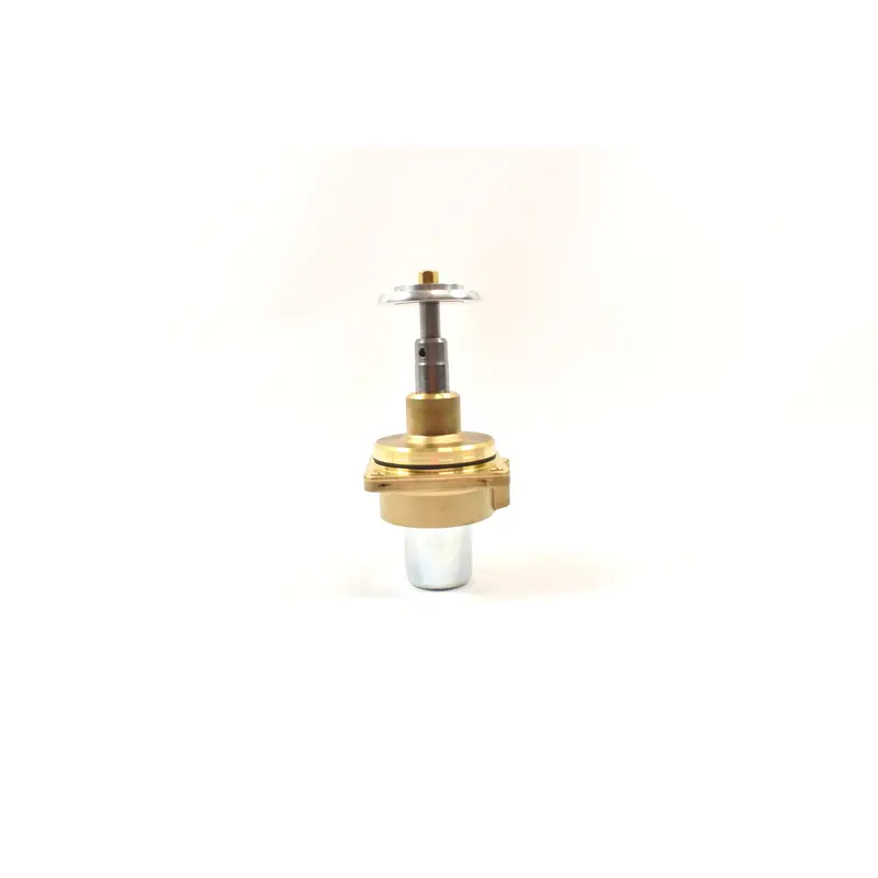 Kaeser Inlet Valve Rebuild Kit Replacement - 200791.1