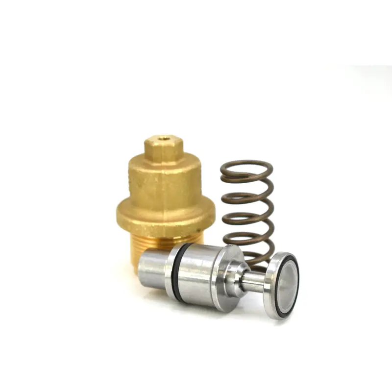 Kaeser Minimum Pressure Check Valve Kit Replacement - 401820.1
