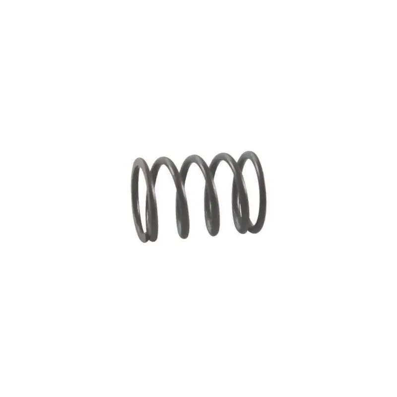 Briggs and Stratton 691304 Valve Spring