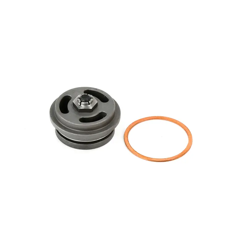 Saylor-Beall Valve Assembly Replacement - 4265