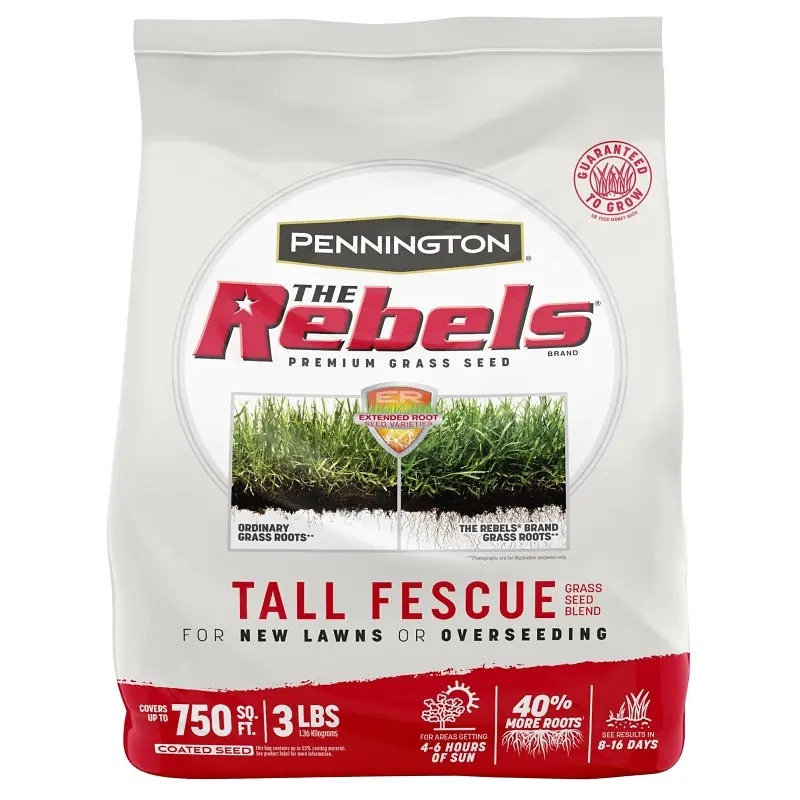 SEED REBEL TALL FESCUE MIX 3LB