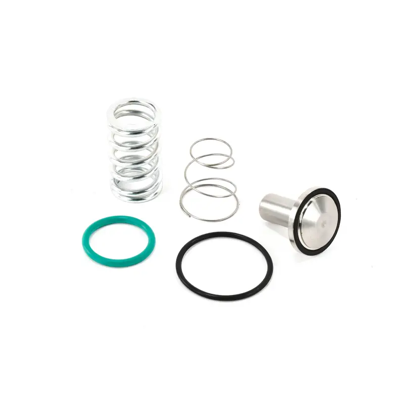 Quincy Minimum Pressure Check Valve Kit Replacement - 2200900944