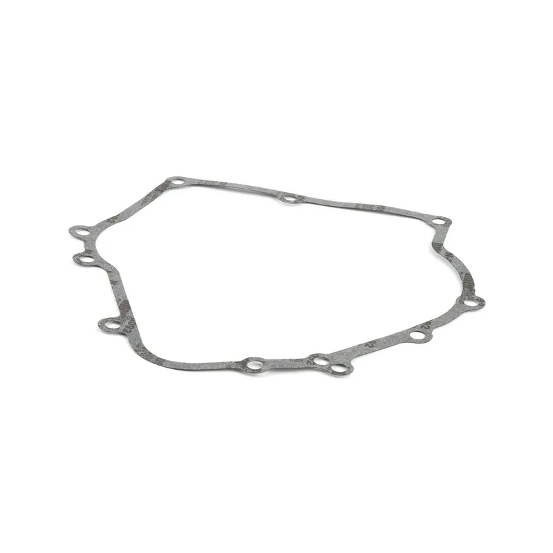 Briggs and Stratton 710216 Crankcase Gasket