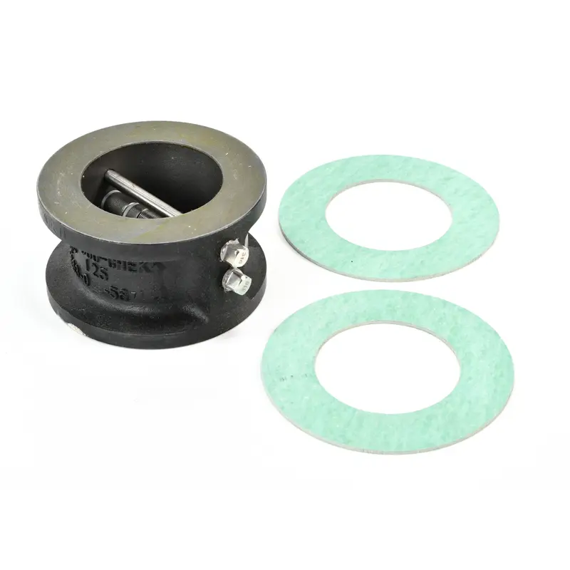 Ingersoll Rand Check Valve Replacement - 47699876001