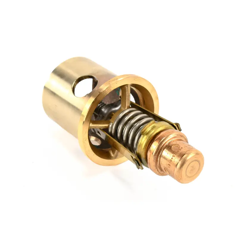 Gardner Denver Thermal Element Replacement - 2109364
