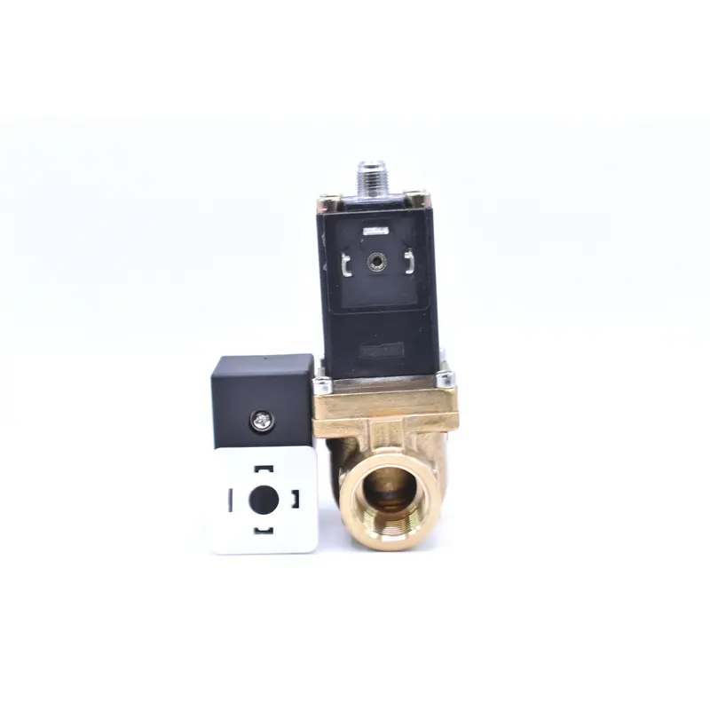 Ingersoll Rand Blowdown Valve Replacement - 39120472