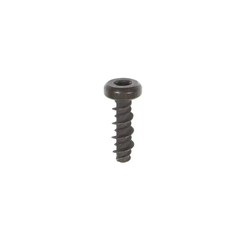 Briggs and Stratton 698304 Screw