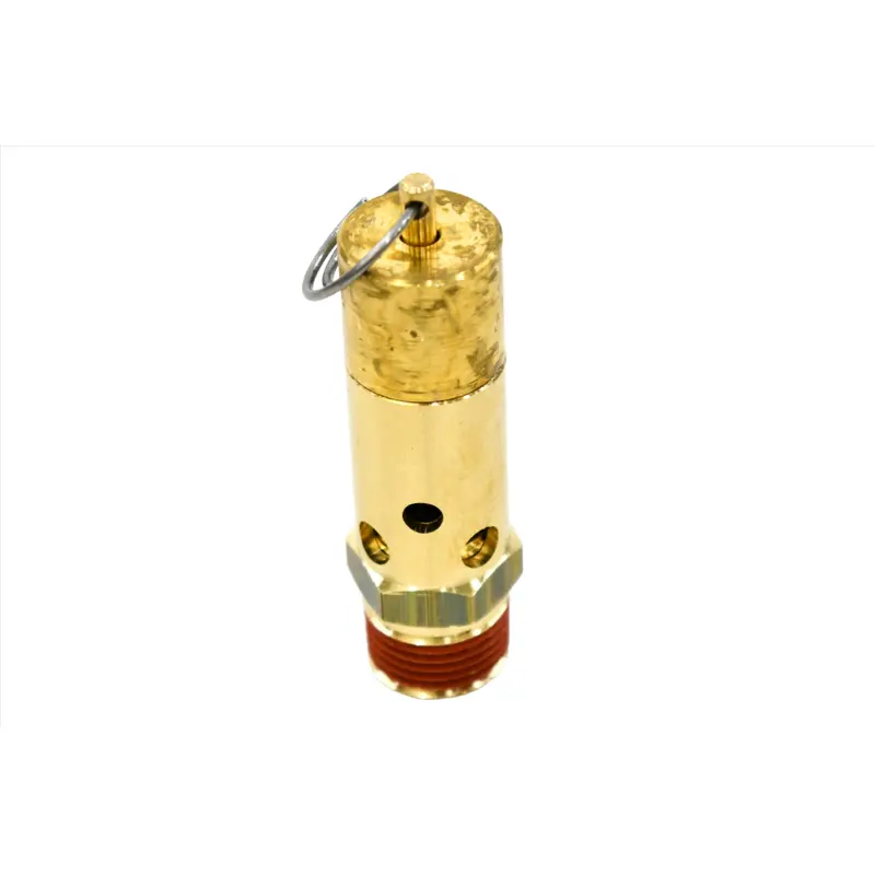 Ingersoll Rand Check Valve Replacement - 35254952
