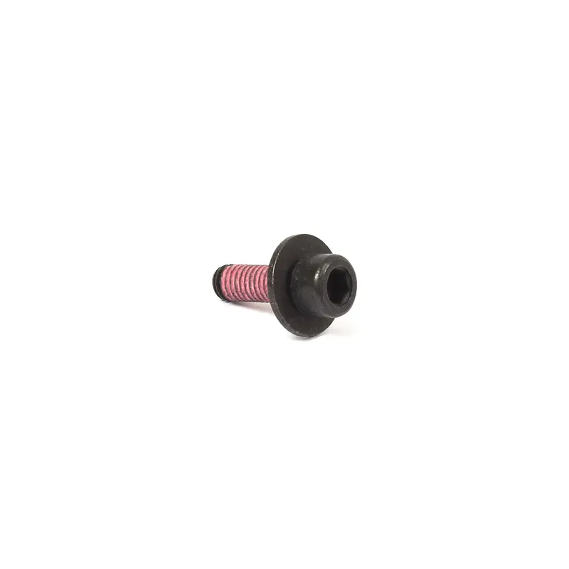 Briggs and Stratton 555644 Screw