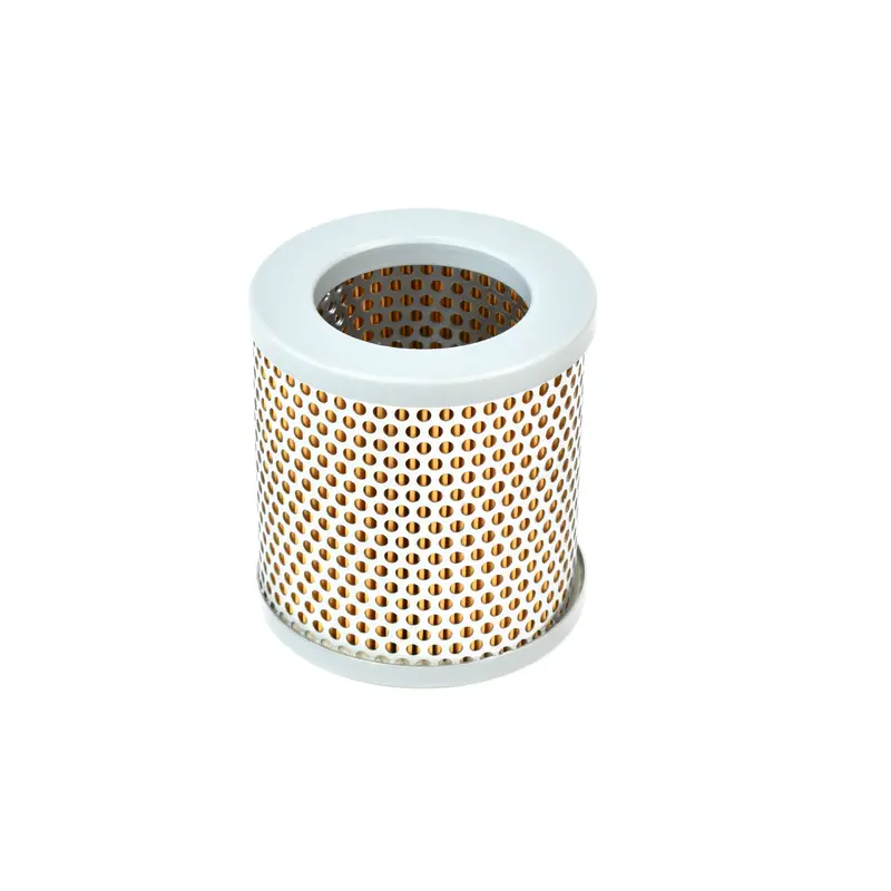 DVP Air Filter Replacement - 1801038