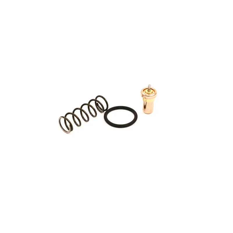 Ingersoll Rand Thermal Valve Service Kit Replacement - 49144587001