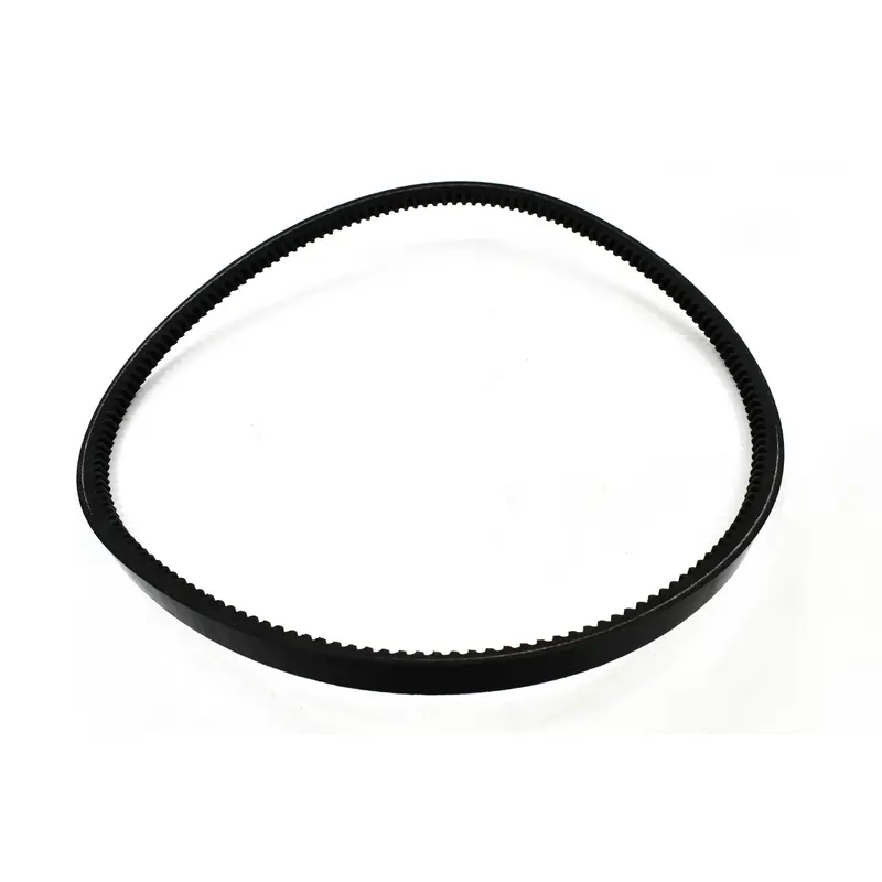 FS-Curtis Belt Replacement - 2113019976
