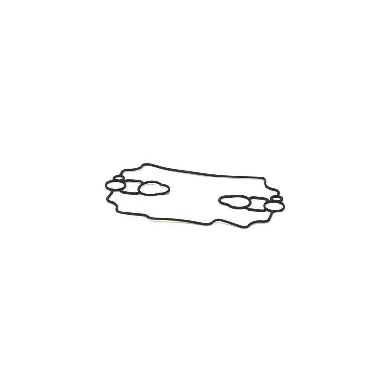 Briggs and Stratton 693711 Float Bowl Gasket