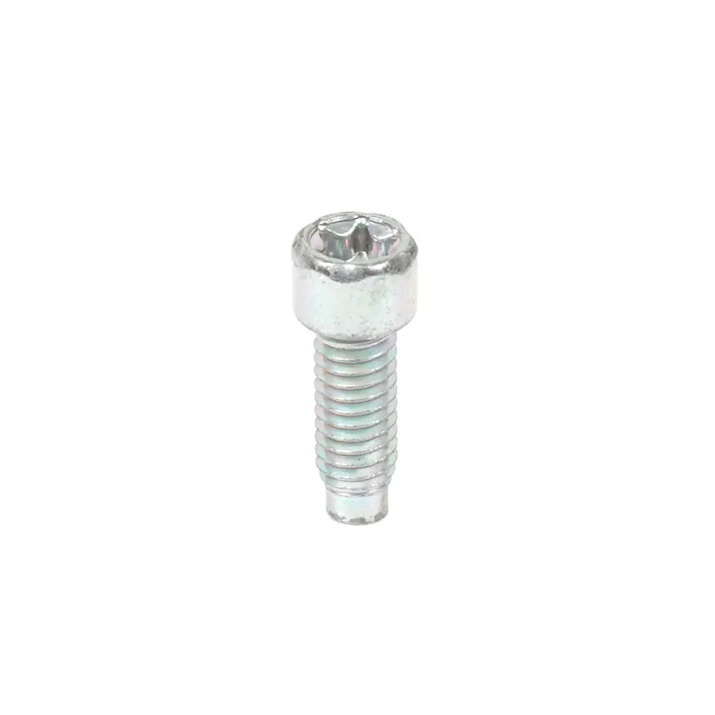 Briggs and Stratton 698941 Screw