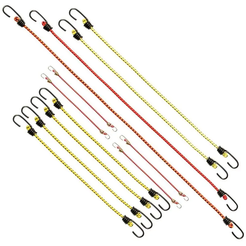 Assortment Bungee Cord (12-Pack)