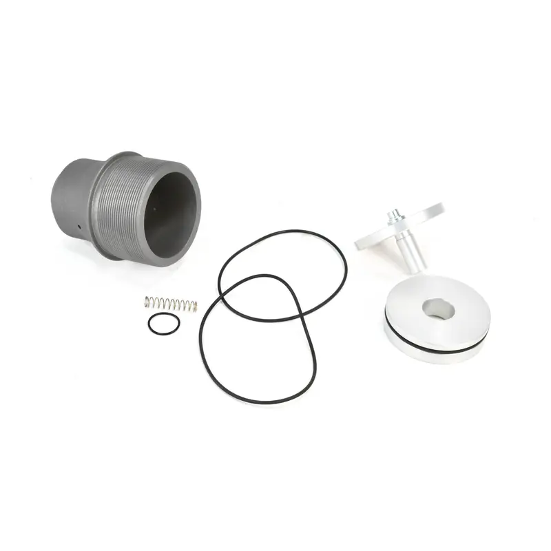 ELGi Minimum Pressure Check Valve Replacement - B009301070017