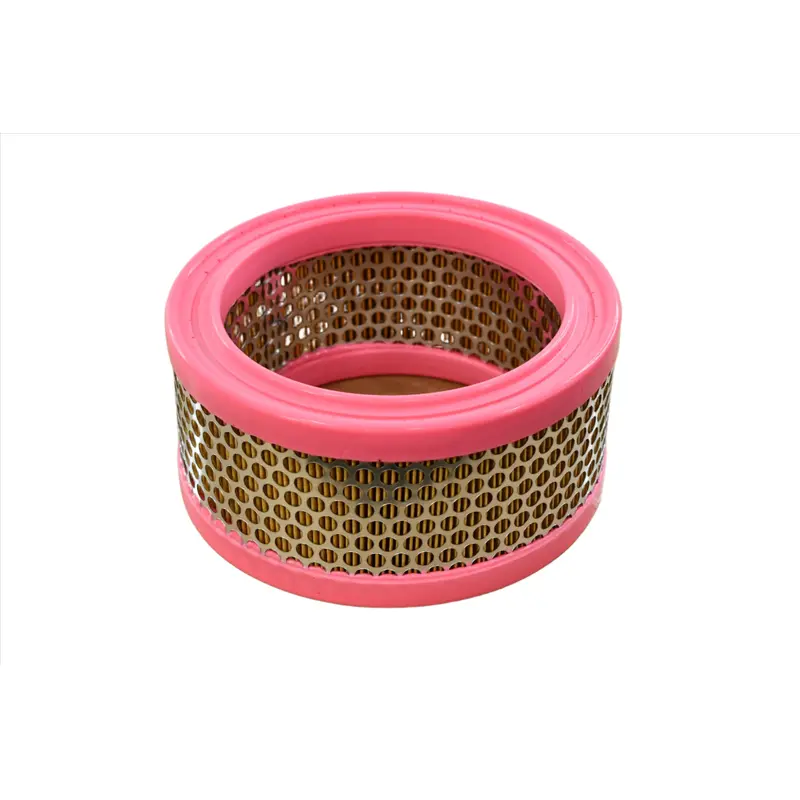 Shanghai Air Filter Replacement - 25100035-003