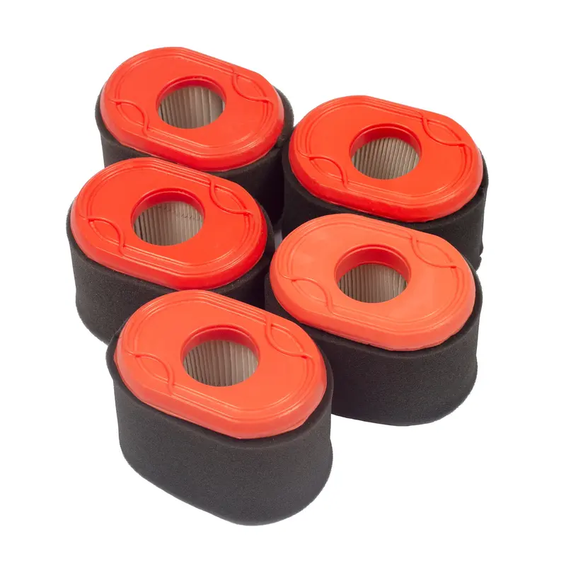 Briggs and Stratton 4238 Air Filter  (5 x 796970)