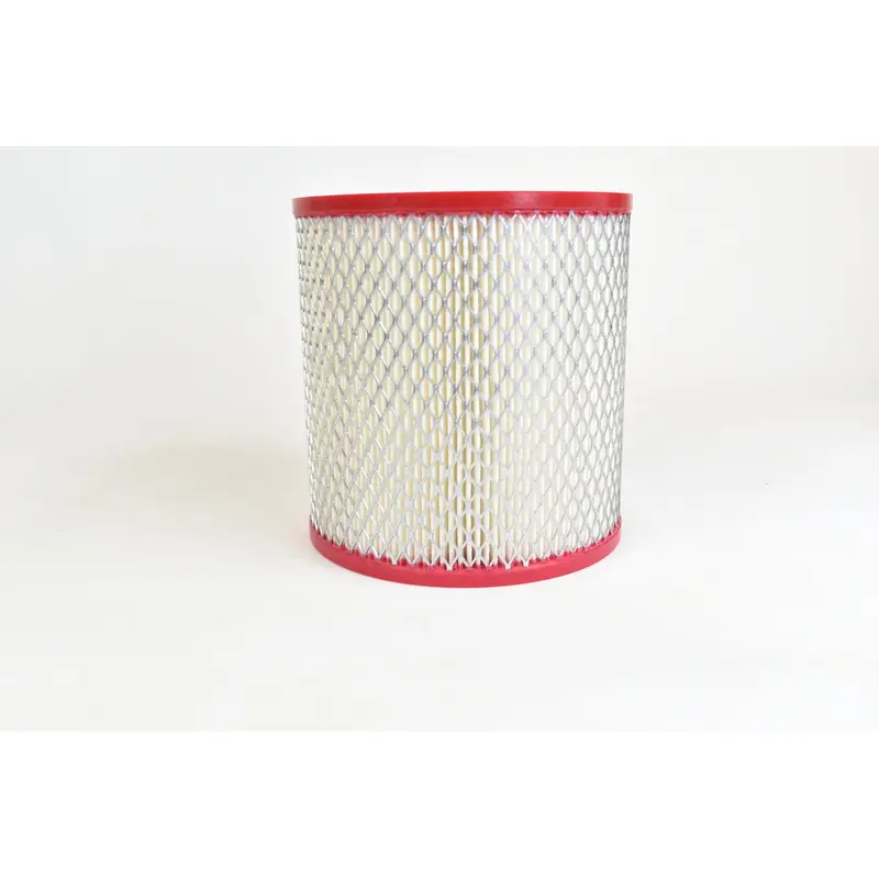 Quincy Air Filter Replacement - 125042-001