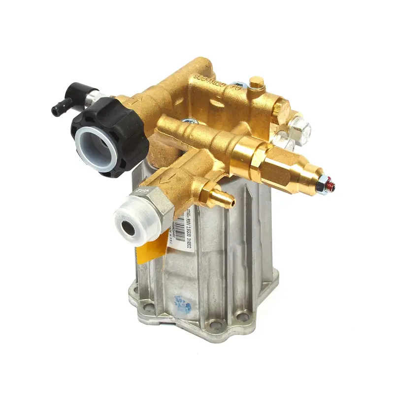Briggs and Stratton 317054GS Pump