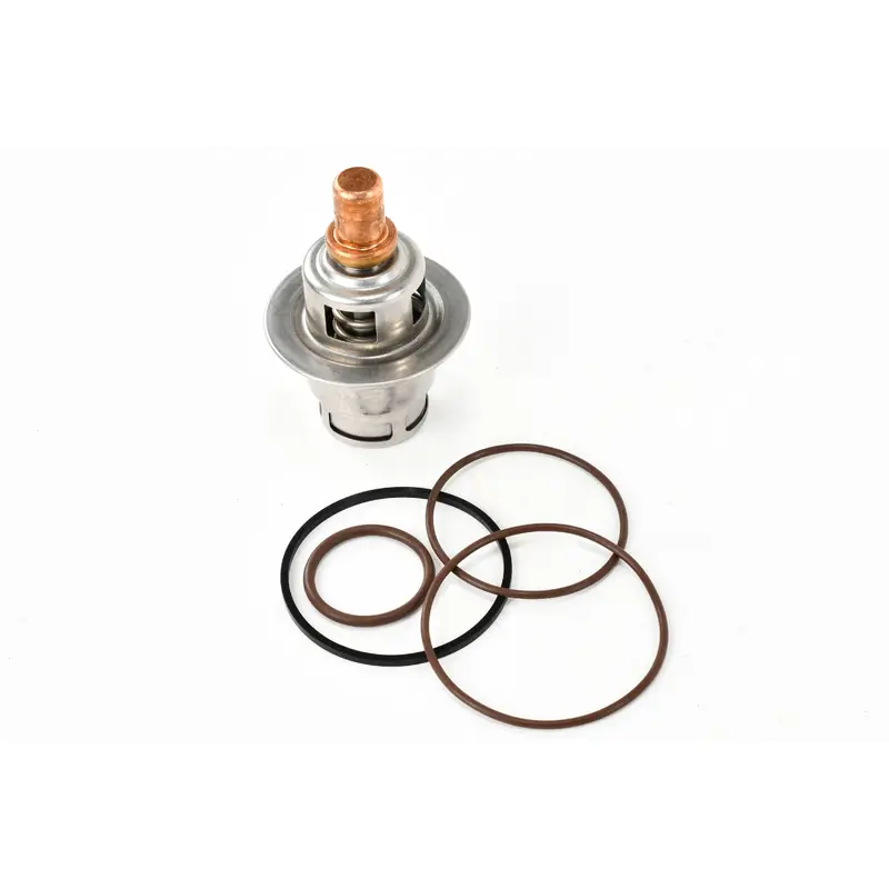 Gardner Denver Thermal Valve Replacement - 2109295