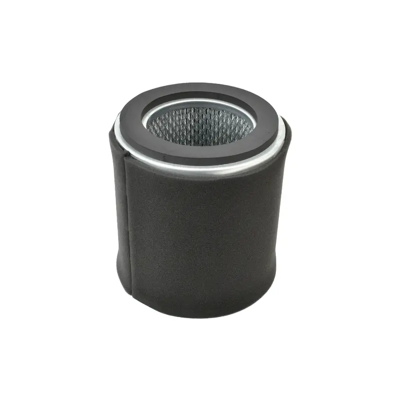 Solberg Air Filter Replacement - 237P