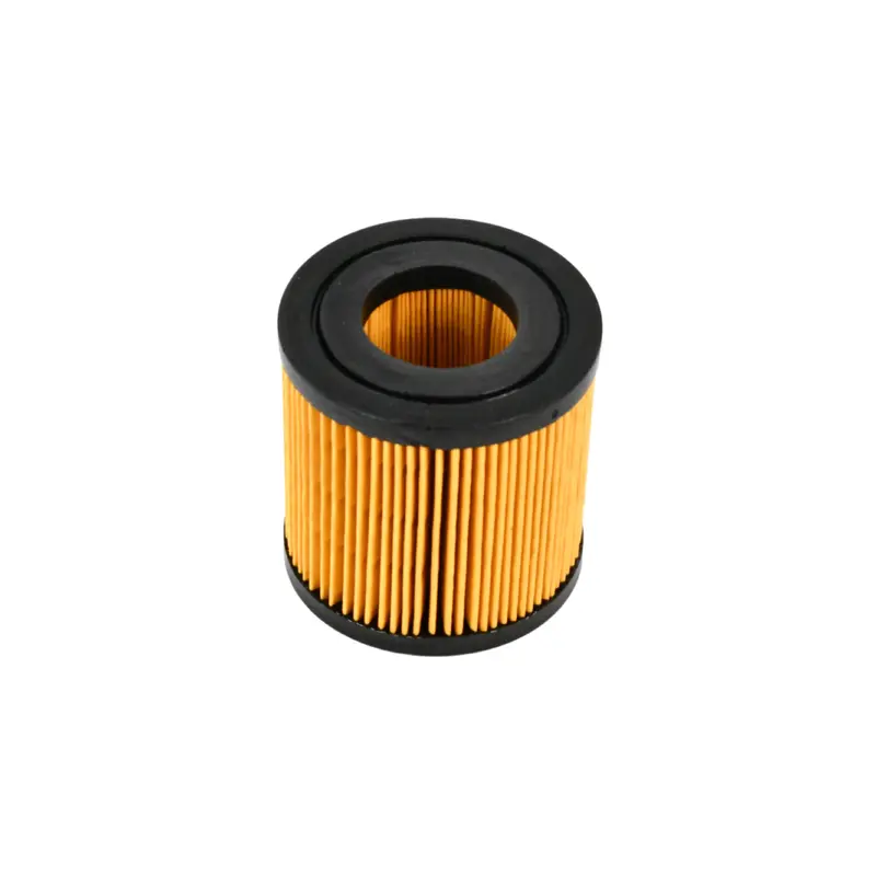 ELGi Air Filter Replacement - B005705760001